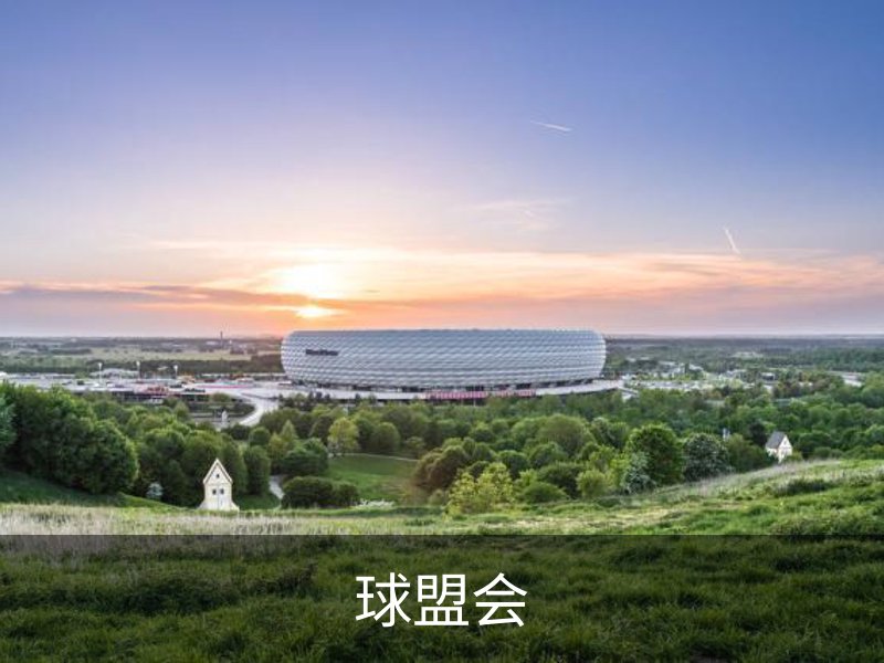 球盟会介绍